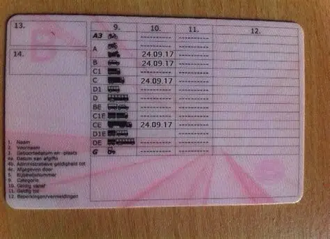 Vrachtwagen Rijbewijs Kopen